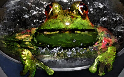 Boiling a Frog: The Death of Democracy by Degrees